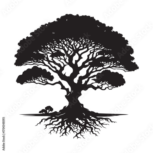Sandalwood Tree Silhouette