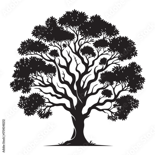 Sandalwood Tree Silhouette