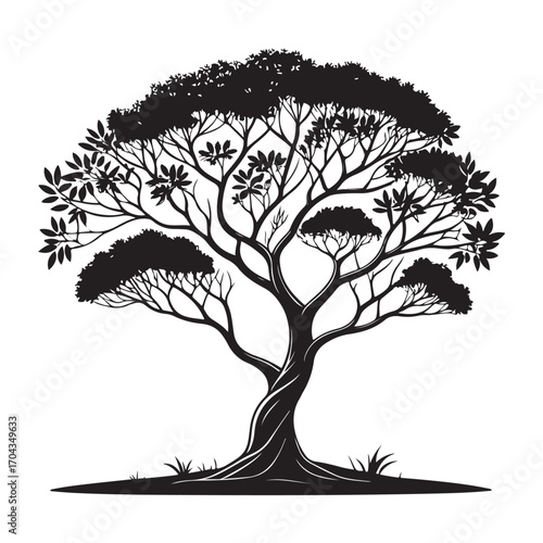Sandalwood Tree Silhouette