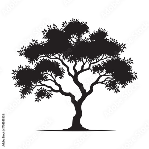 Sandalwood Tree Silhouette
