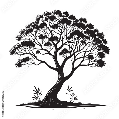 Sandalwood Tree Silhouette