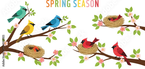 Colorful spring season illustration with birds on branches and nests