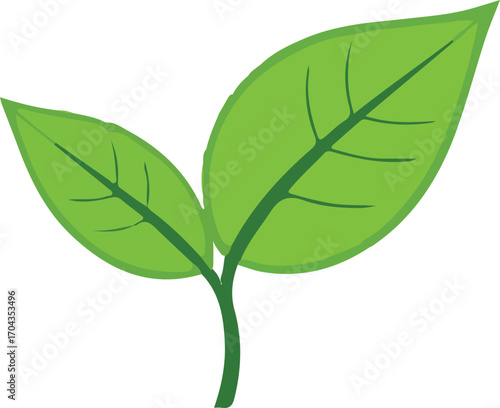 Organic herbal green tea company icon. Herbal beverage shop isolated vector sign,
