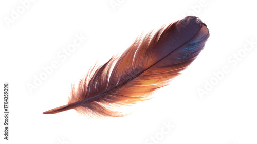 A light feather with intricate details on transparent png background. Ai generated