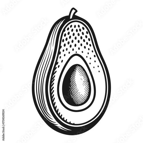 Halved Avocado Line Drawing with Seed and Textured Skin