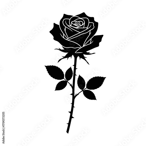 Elegant black and white rose outline single flower icon graphic design element silhouette