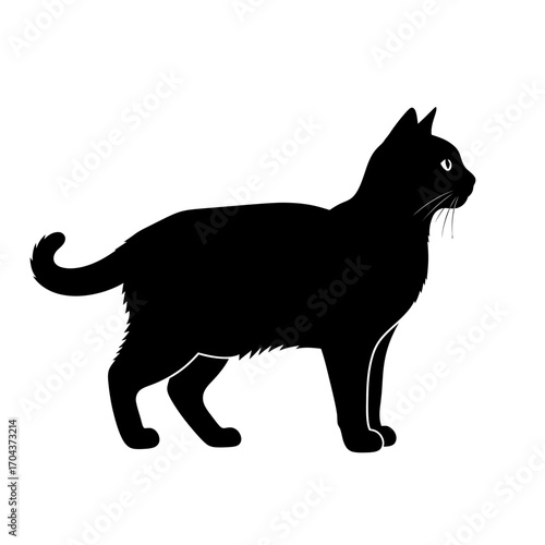 Silhouette of a black cat standing in profile with detailed textural markings silhouette