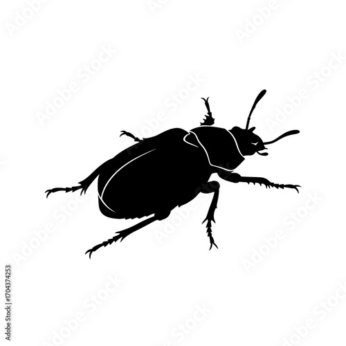 Detailed silhouette of a beetle insect close-up macro view isolated on white silhouette