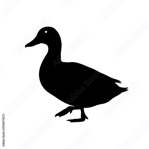 Silhouette of a duck standing in a square frame artistic wildlife animal silhouette