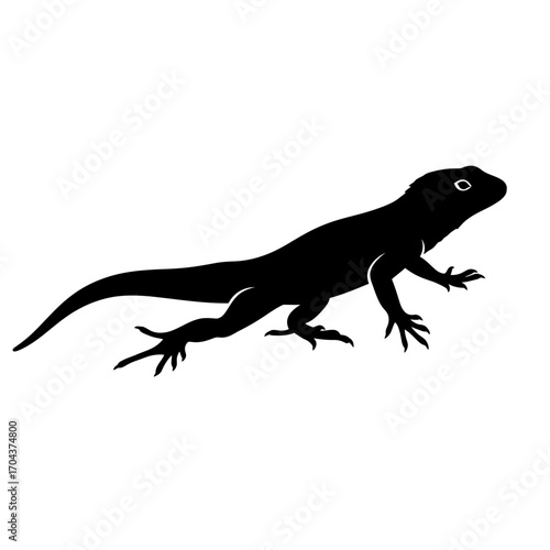 Silhouette of a bearded dragon lizard in profile against a white square silhouette