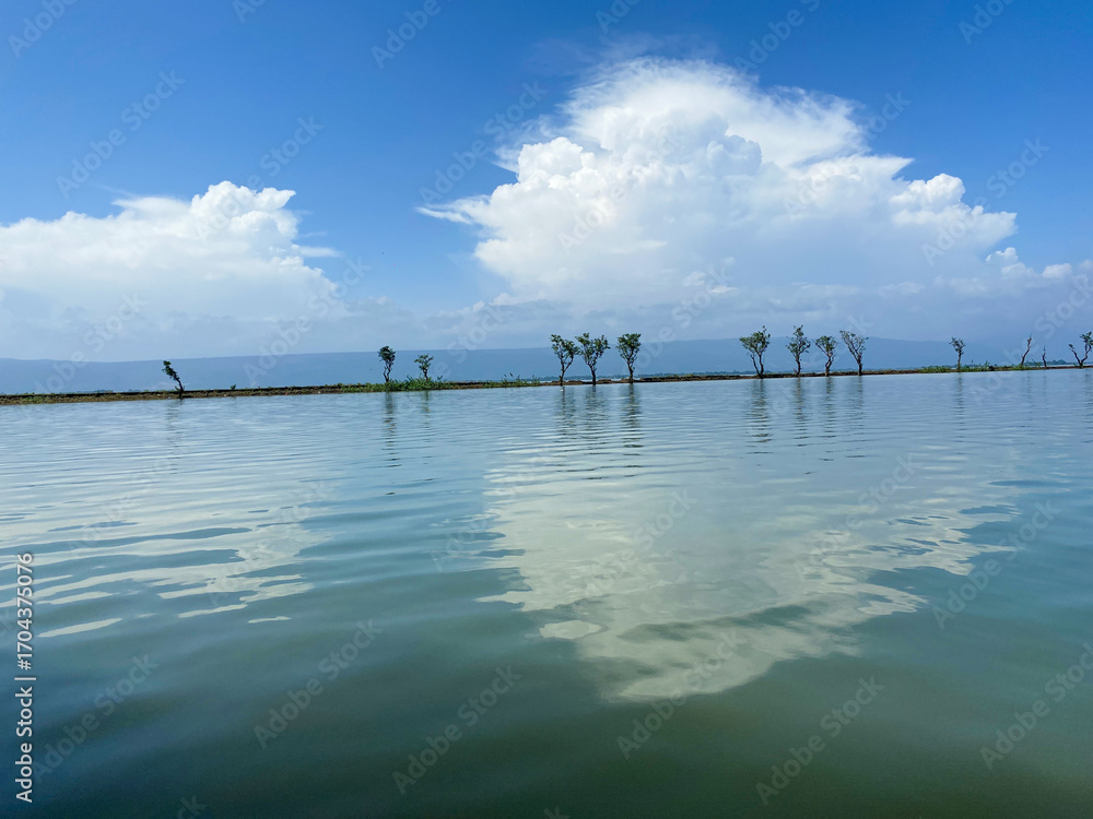 Obraz premium Serene Lake with Reflecting Clouds and Row of Trees Under a Blue Sky water reflection