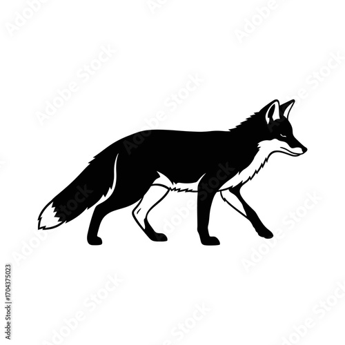 Elegant silhouette of a fox walking in a minimalist white square frame silhouette