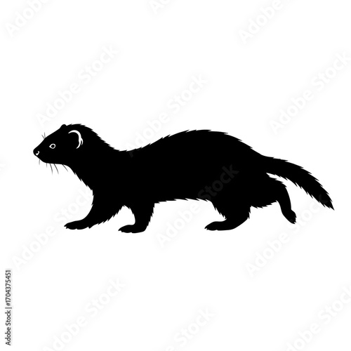 Silhouette of a ferret animal in a rectangular frame against an abstract design silhouette