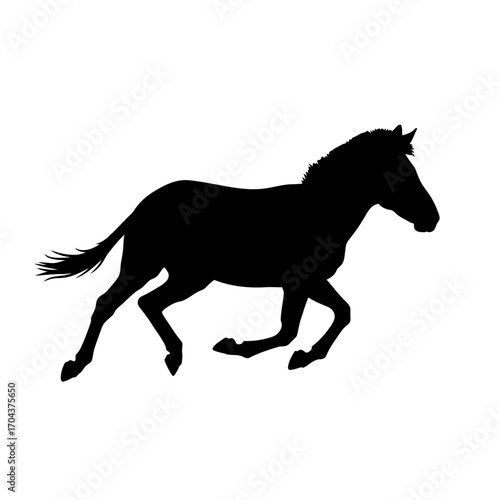 Majestic galloping horse silhouette centered in a square frame iconic animal symbol silhouette