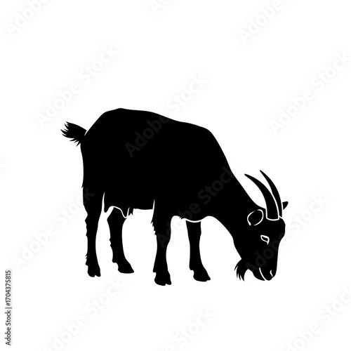 Silhouette of a goat grazing peacefully in a field on a clear day silhouette