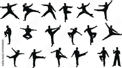 Martial arts silhouette collection, kung fu poses, karate stances, vector illustration, action movement, training, combat, discipline, balance, strength