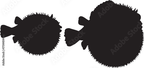 Two pufferfish silhouettes showing their spiky texture and round shape