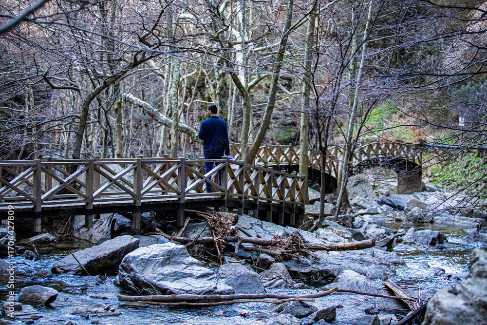 Obraz premium man in the park