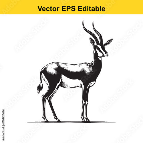 Vector art of gazelle illustration