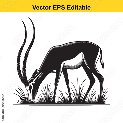 Vector art of black and white illustration of a gazelle grazing in grass