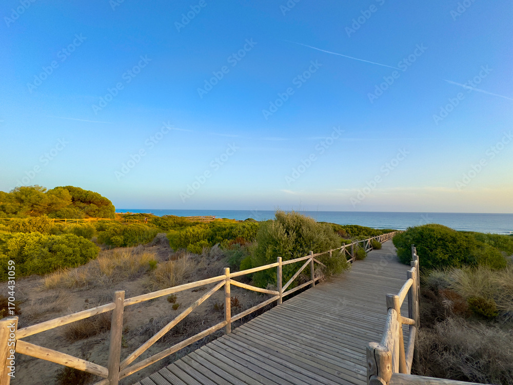 Fototapeta premium evening light at the coast with dunes near Marbella, wooden walkway to the Mediterranean Sea, Costa del Sol in the summer, Andalusia, Spain