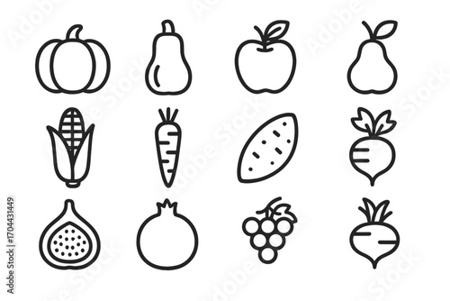 Fall Harvest Icons. Line style icons of fall fruits and vegetables: pumpkin, squash, apple, pear; corn, carrot, sweet potato,