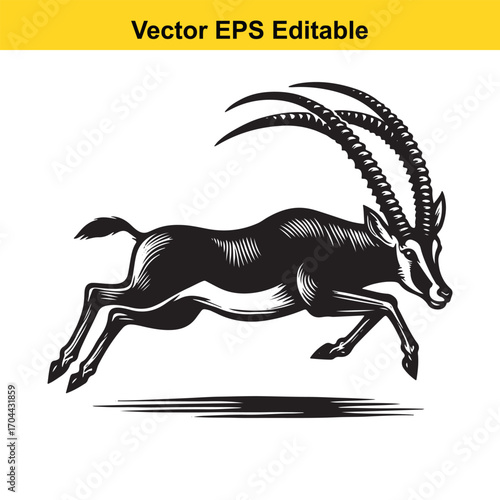 Vector art of black and white illustration of a gazelle running