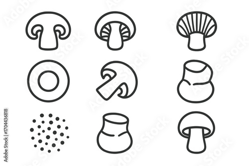 Mushroom Cross-Section Icons. Line style icons of mushroom cross-sections: sliced mushroom, cap underside, gills detail, stem
