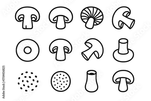 Mushroom Cross-Section Icons. Line style icons of mushroom cross-sections: sliced mushroom, cap underside, gills detail, stem