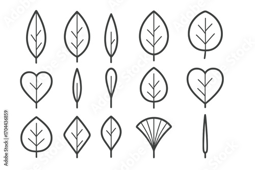 Leaf Shape Icons. Line style icons of leaf types by shape: lanceolate, ovate, elliptical, oblong; heart-shaped, linear, spatulate,