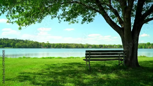 Tranquil lakeside bench underneath tree