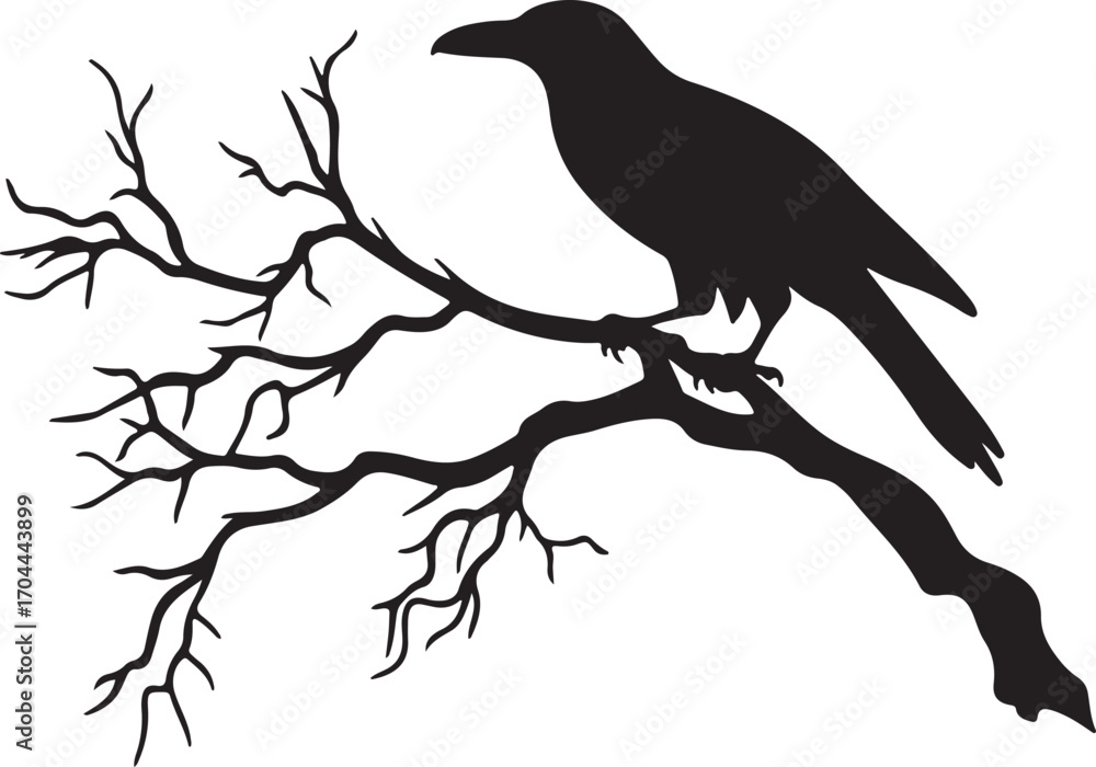 Fototapeta premium Raven Sitting on Branch Silhouette on Transparent Background