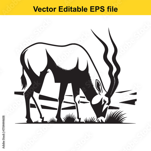Vector art of oryx antelope grazing on grass