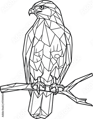 Vector art of geometric line art of a hawk perched on a branch