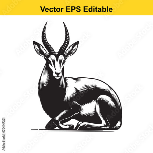 Vector art of black and white illustration of a gazelle sitting