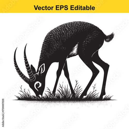 Vector art of black impala grazing on grass