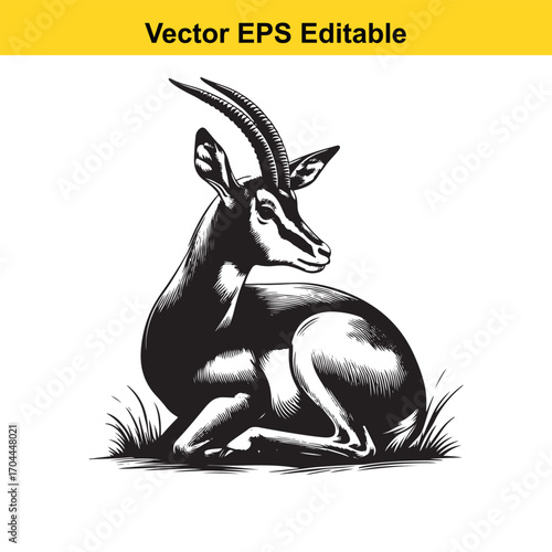 Vector art of black and white illustration of a gazelle sitting in grass