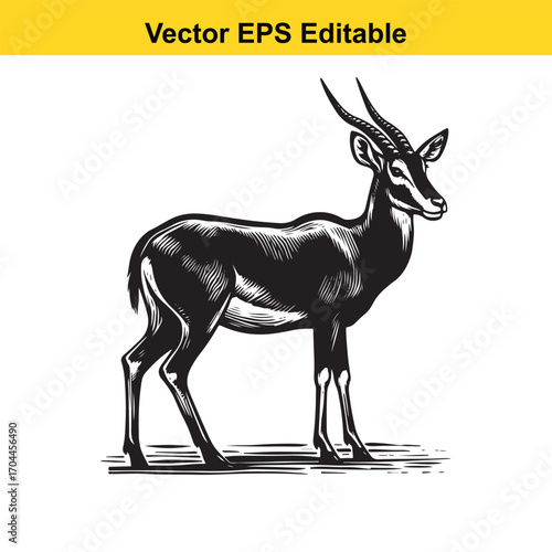 Illustration of a sable antelope standing