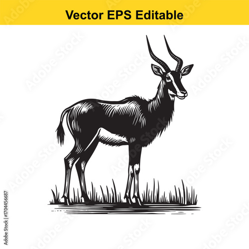 Vector art of sable antelope standing in grass