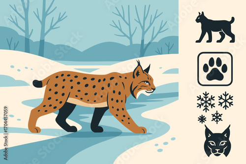 Lynx on Frozen Stream. Flat vector banner with lynx crossing frozen stream and predator path icon set for alert stance, claw print