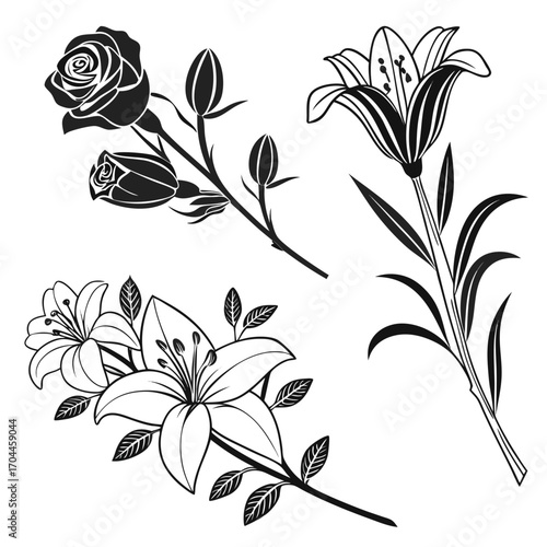 Illustration of a rose branch with buds and two lily flower stems with leaves in black and white style