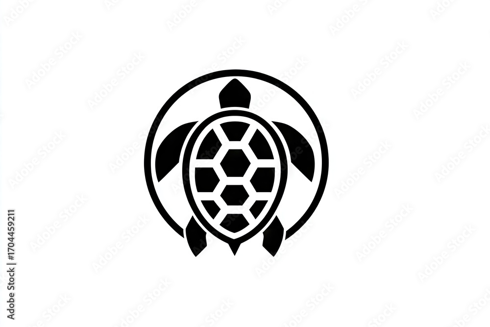 Obraz premium Simple, black and white turtle .