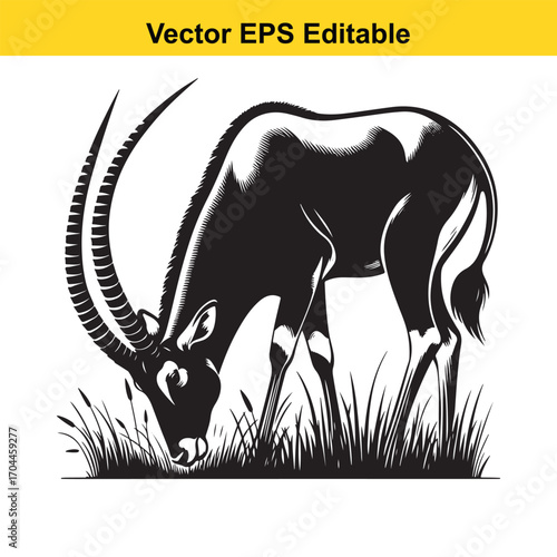 Vector art of black and white illustration of a sable antelope grazing in grass