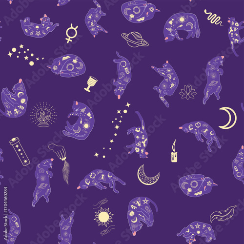 Mystical seamless pattern of cats in boho style, silhouette collection. Esotericism and mysticism, occultism. Cartoon flat vector illustrations, isolated