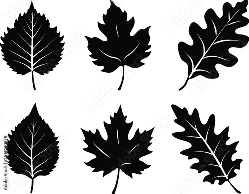 Autumn Leaves Silhouettes – Seasonal Foliage Nature Vector