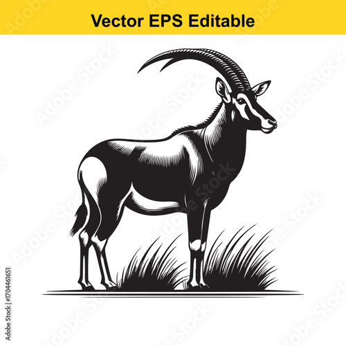 Vector art of sable antelope standing in grass
