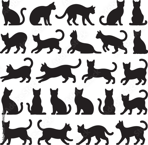 Black cat silhouettes various poses feline animal