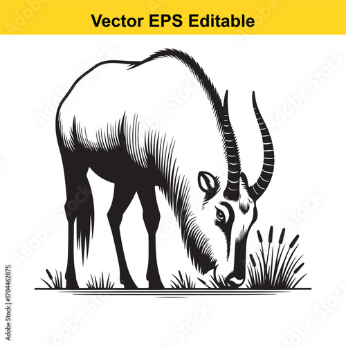 Vector art of black and white illustration of a grazing antelope with long horns