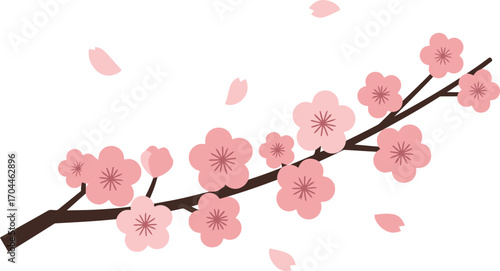 Graceful Japanese Cherry Blossom branch with delicate pink petals, a lovely and serene symbol of spring season, blooming nature, and renewal.