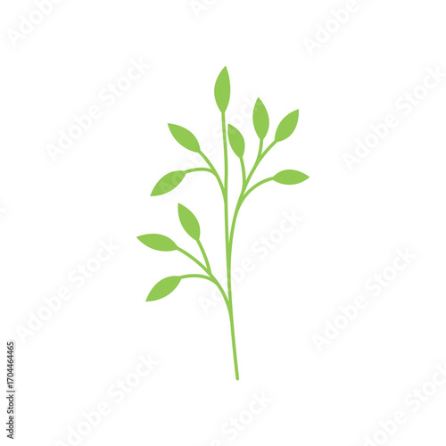 Minimalist silhouette of a green herb plant with a thin stem and delicate leaves